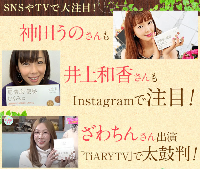 防風通聖散なら「生漢煎 防風通聖散」