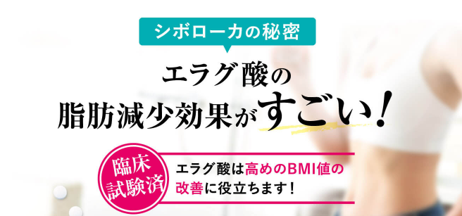 シボローカ 嘘 臨床試験